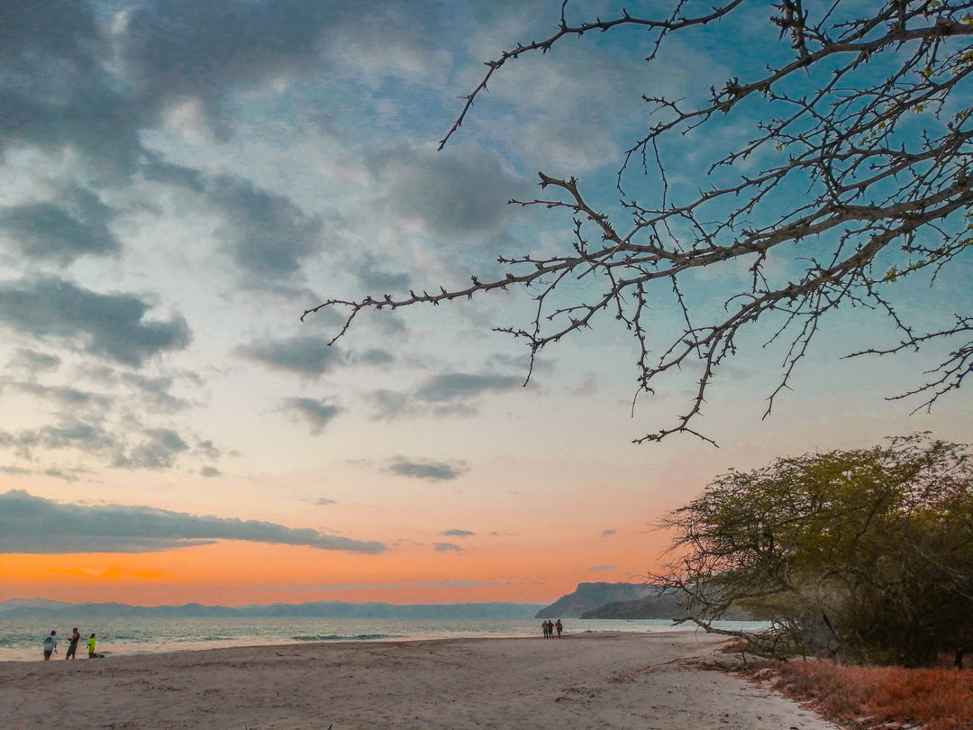 The Story Behind Our Designs!